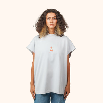 Grey Moonlanding Logo Top