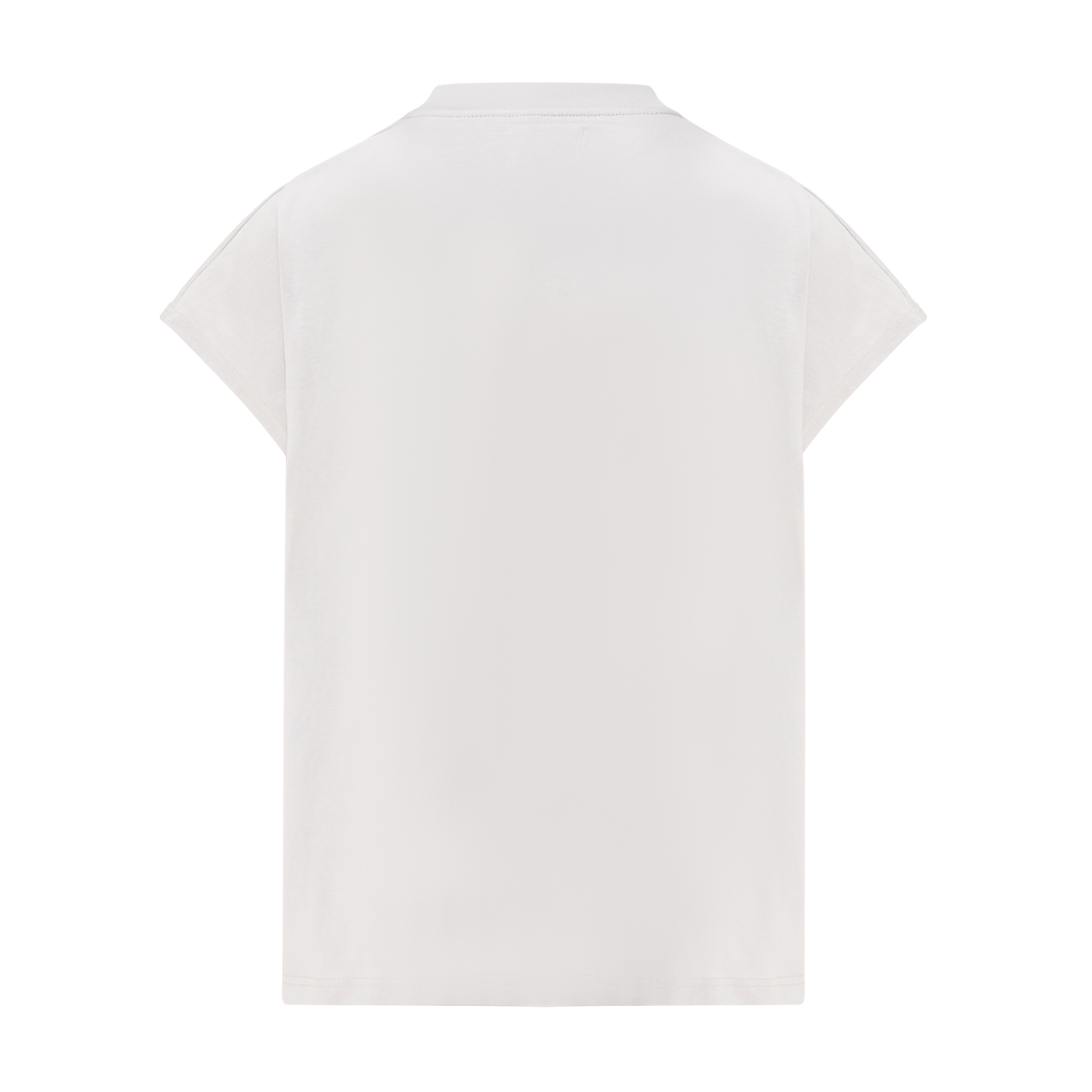 Grey Moonlanding Logo Top